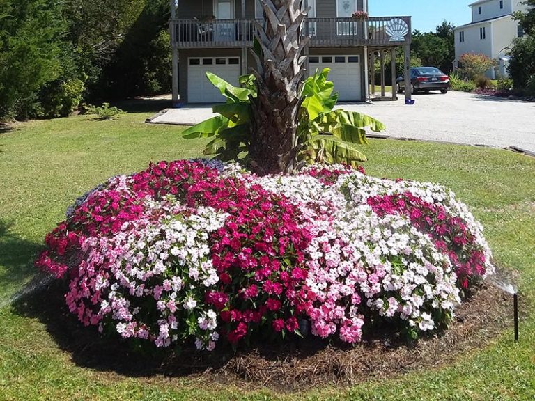 Landscaping Services In Wilmington, Edge Landscaping Wilmington Nc
